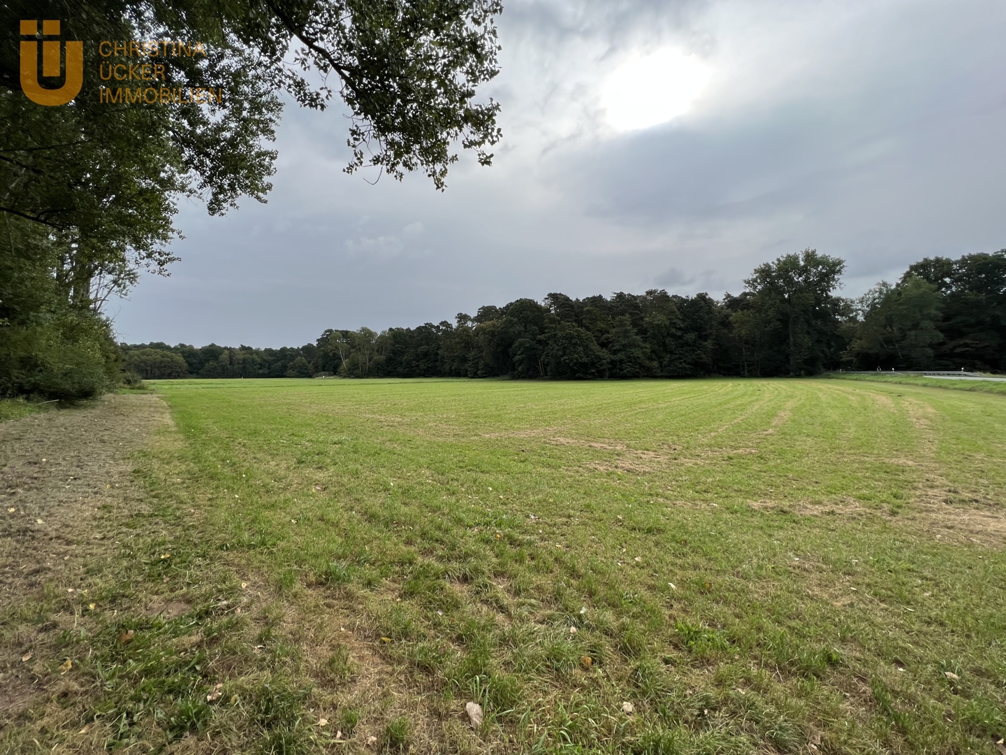 3500 m² Wiesenland - Hergershausen Flur 12, Flurstück 21