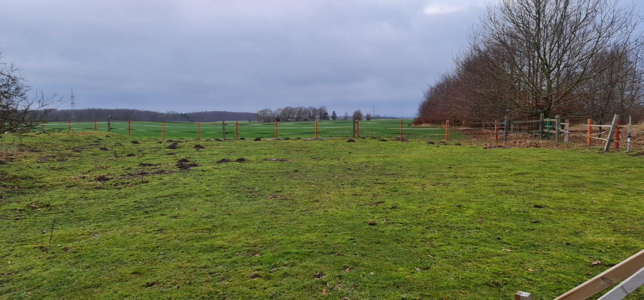 ca.51.400 qm. Acker u./-Weideland, nahe Rostock !