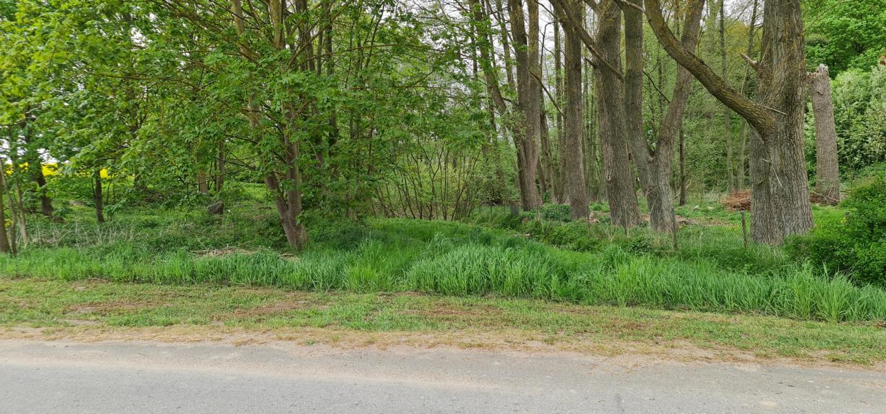 RIESIGES FREIZEITGRUNDSTÜCK !