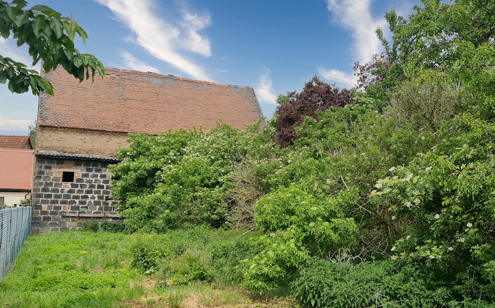 Handwerker aufgepasst ! Sanierungsbedürftiges Wohnhaus mit Scheune möchte wieder erweckt werden !