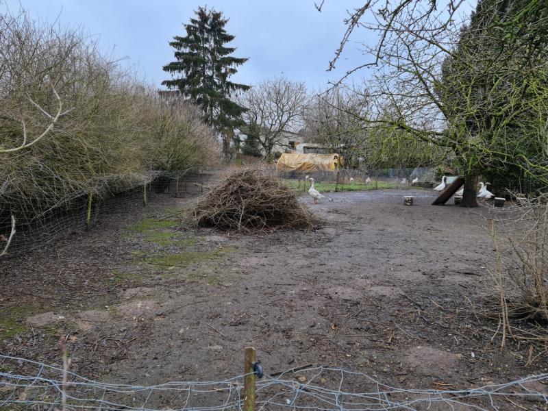 ca. 7.km. von Laage... knapp 20 km. nach Güstrow