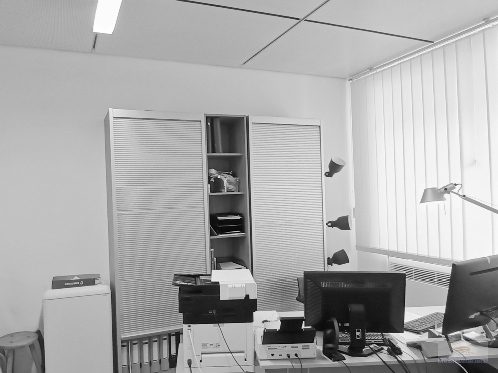 Attraktives EG Büro im Gemeinschaftsbürogebäude der Gartenstraße