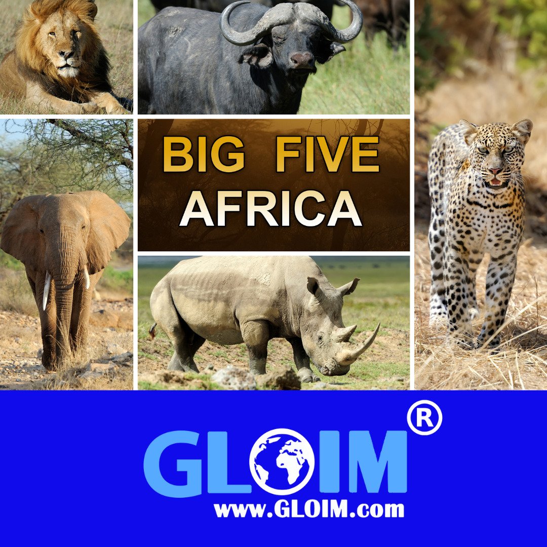 Ihre großartige Farm am Krüger Nationalpark, jetzt anschauen !