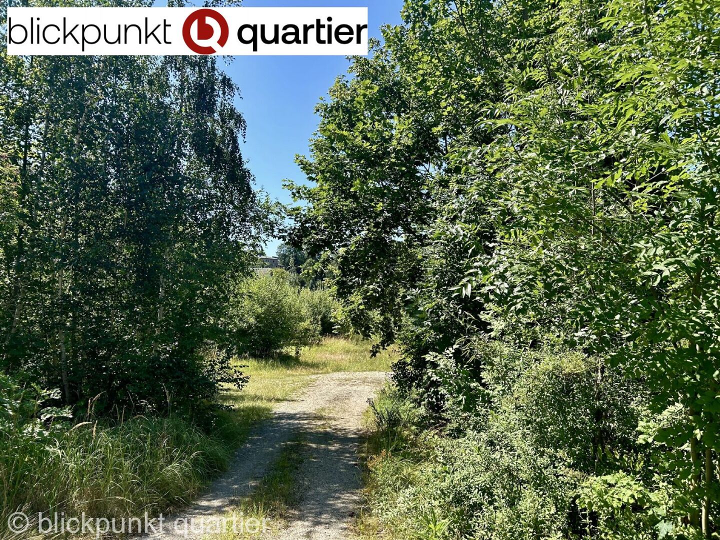 Bauträger aufgepasst!!! Traumgrundstück mitten in Wildenfels in unmittelbarer Nähe zum  Schlossteich