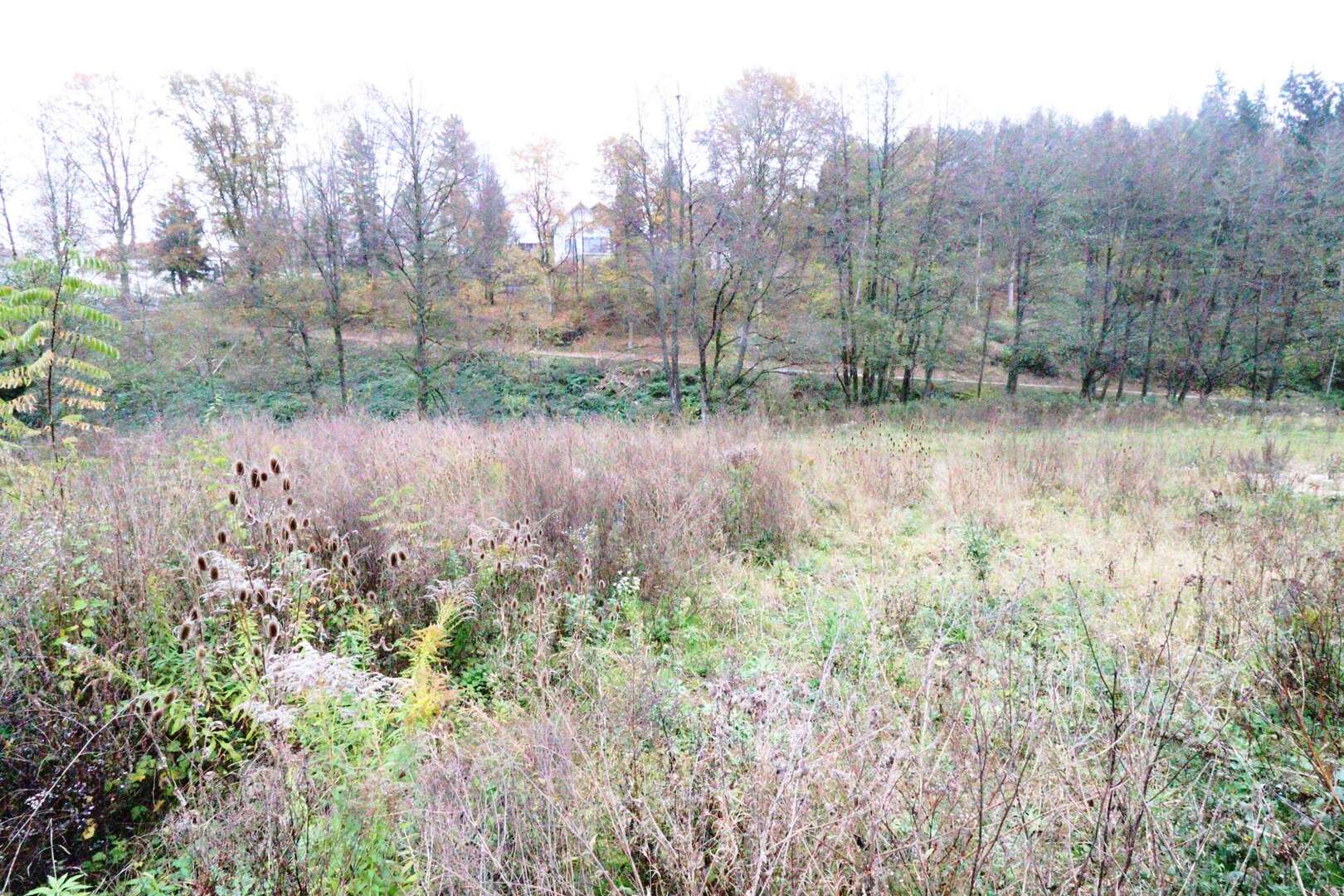 WRS Immobilien - In ruhiger Lage von Jossgrund - 3 Grundstücke für Einfamilienhaus / Doppelhäuser