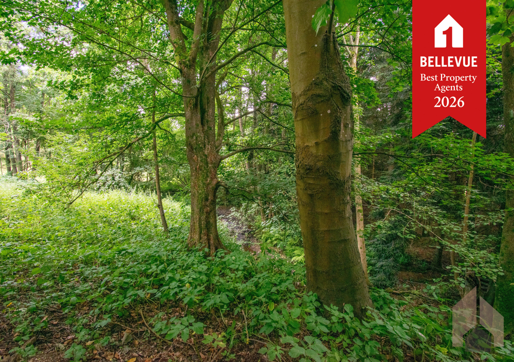Attraktives Baugrundstück am Bachlauf – in zentraler Lage von Eitorf-Halft