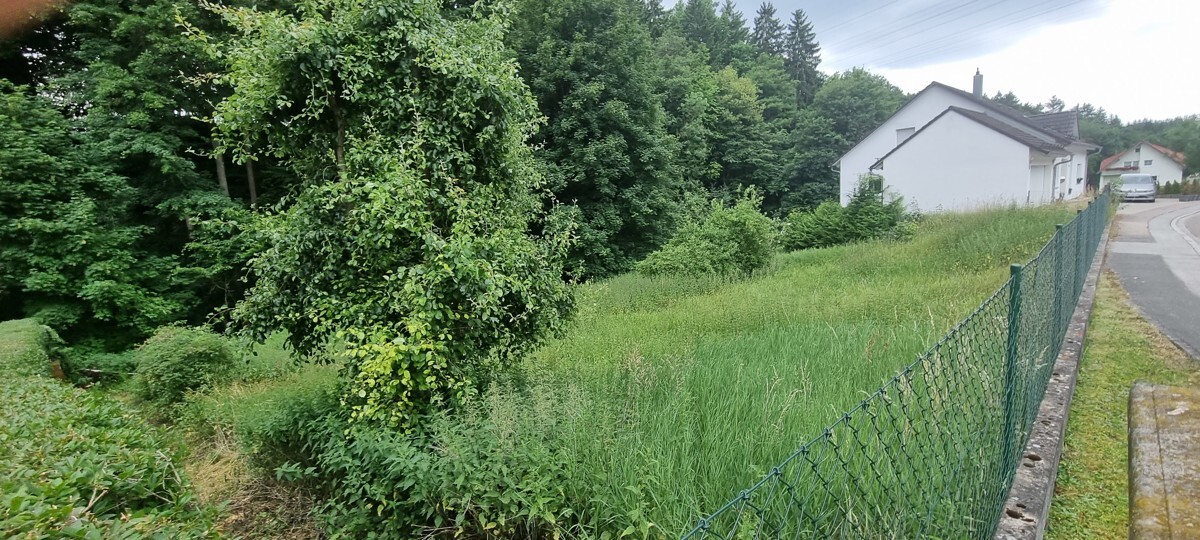 Herrliches Baugrundstück zwischen Nürnberg und Neumarkt, ca. 950m² für Ihr Traumhaus!