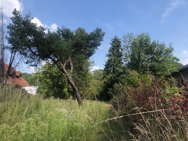 Praktisches Baugrundstück mit Potential in Pfaffenhofen an der Ilm