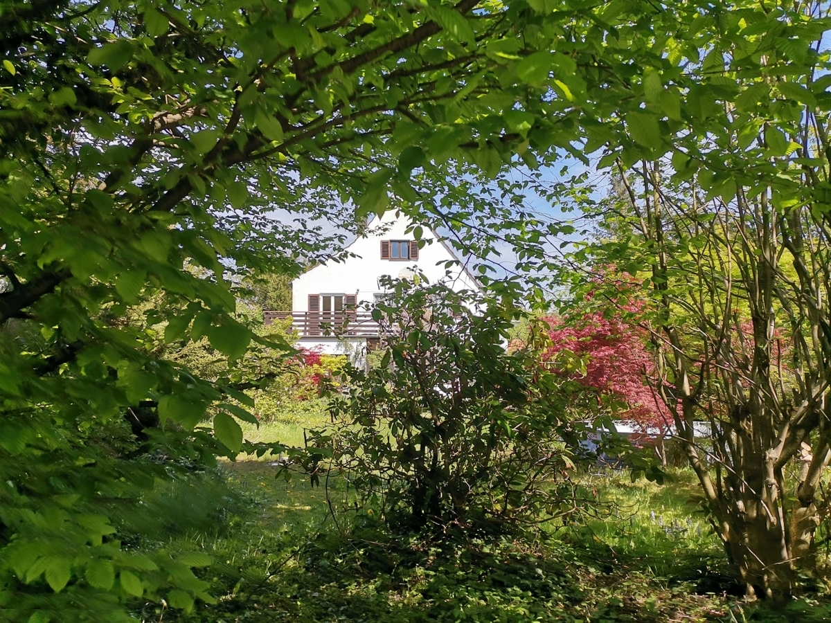 Charmantes Einfamilienhaus auf wunderschönem Grundstück in Gräfelfing