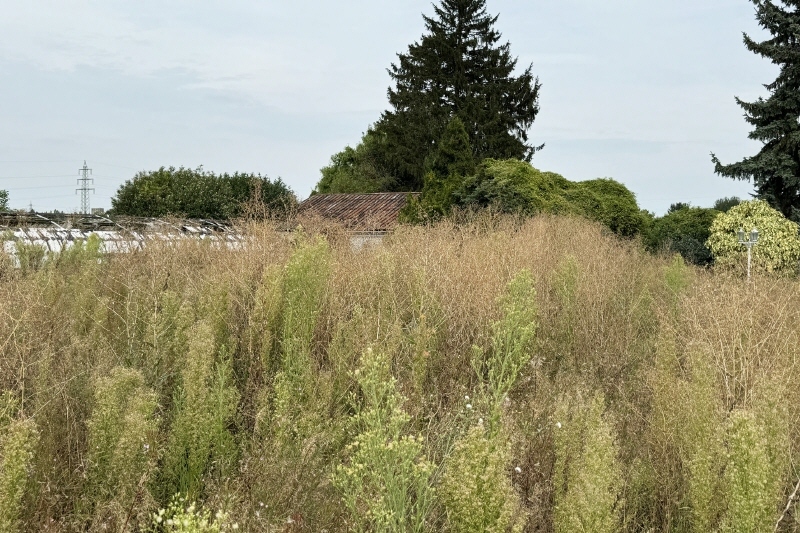 Baugrundstück für Wohnen oder Gewerbe in Hürth