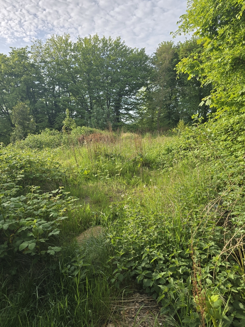 Traum Grundstück in Burg Dithmarschen zu verkaufen
