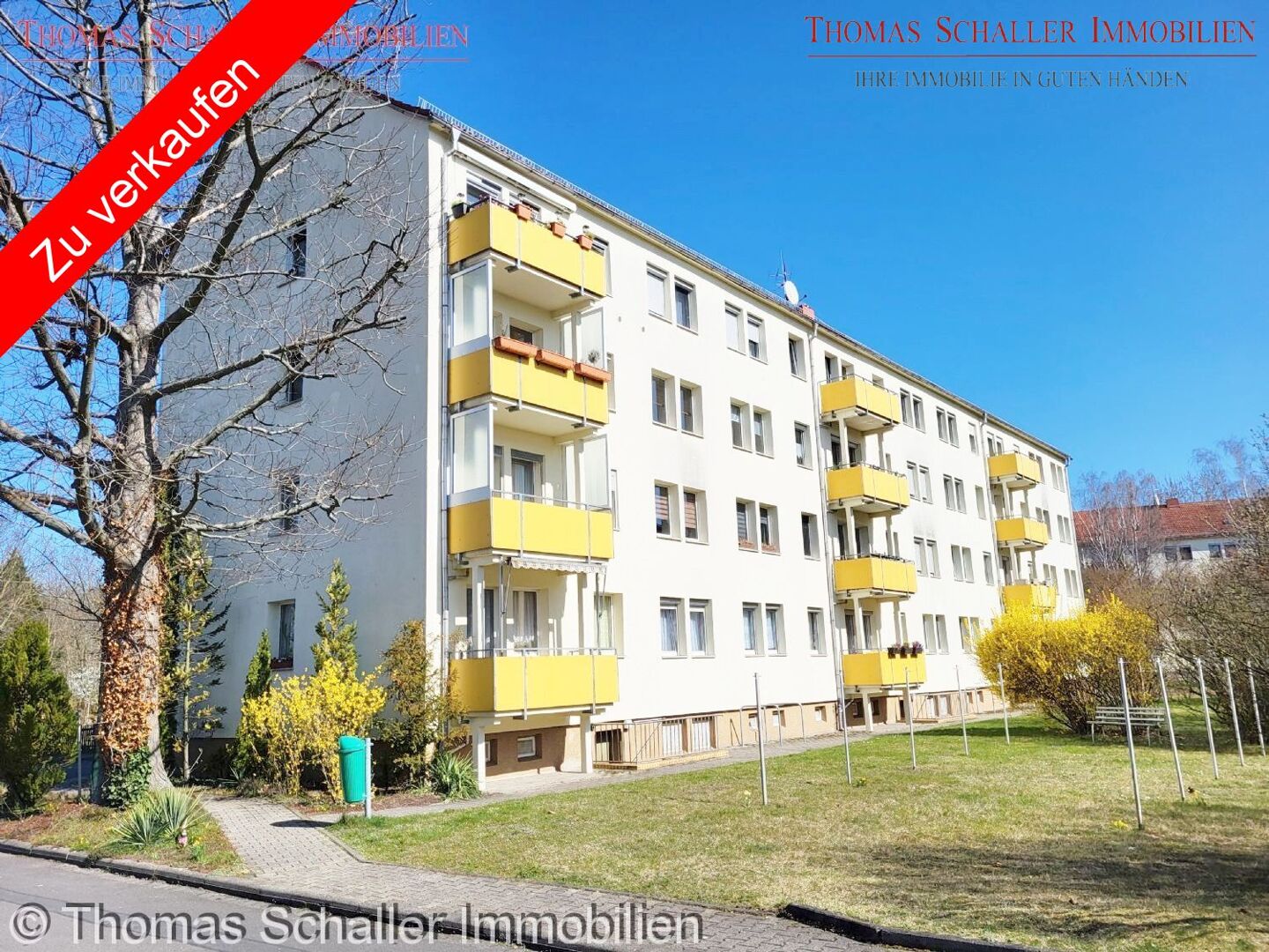 Helle gemütliche 3-Raumwohnung im Grünen von Markkleeberg