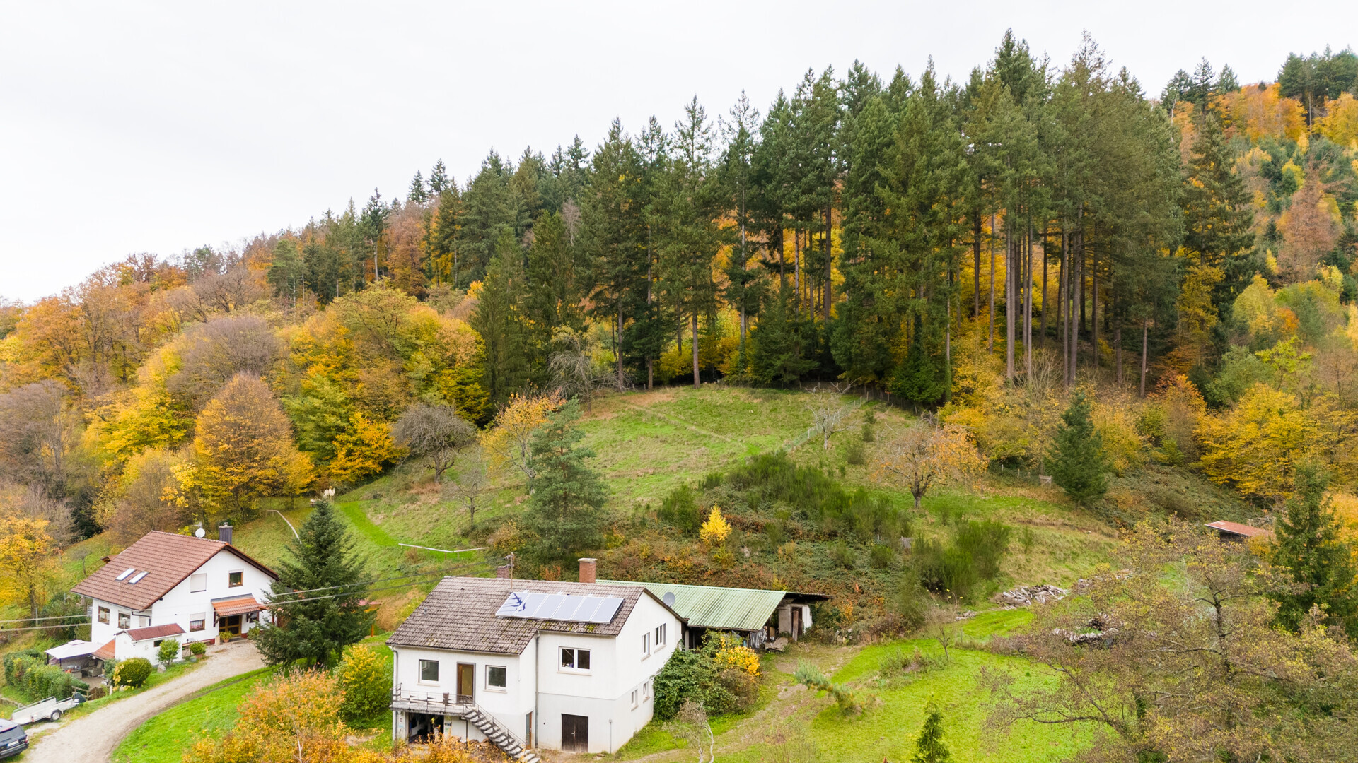 Einfamilienhaus 
zwischen Grün- und Waldfläche
Großzügig  - Grün - Gestaltbar