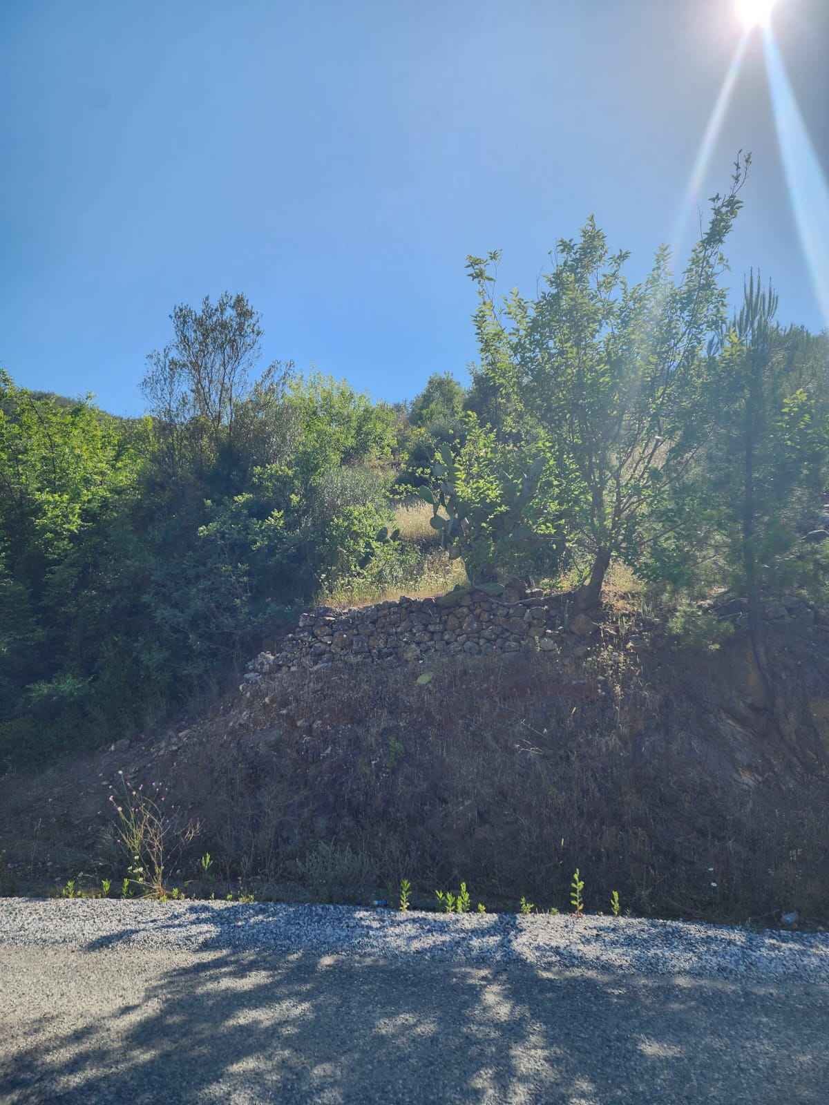 Grundstueck in Alanya Fakircali - Landwirtschaftlich, Natur