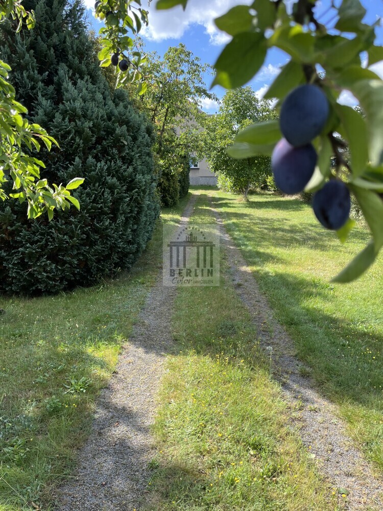 Ein Haus für alle Fälle! Großfamilie, 2-Familien, WG, Mehrgenerationen, etc.