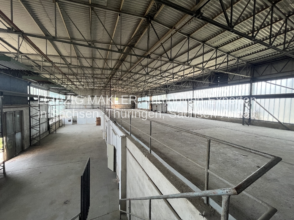ZU VERMIETEN: Lagerhalle 400 m² (Kalthalle) in Leipziger Süden im OT Dölitz-Dösen