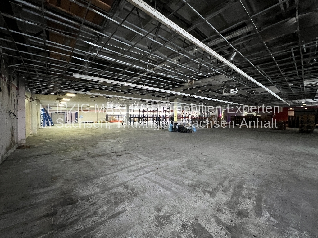 ZU VERMIETEN: Vielseitig nutzbare Lagerhalle ( 2.200 m²) für stilles Gewerbe in Delitzsch-Nord