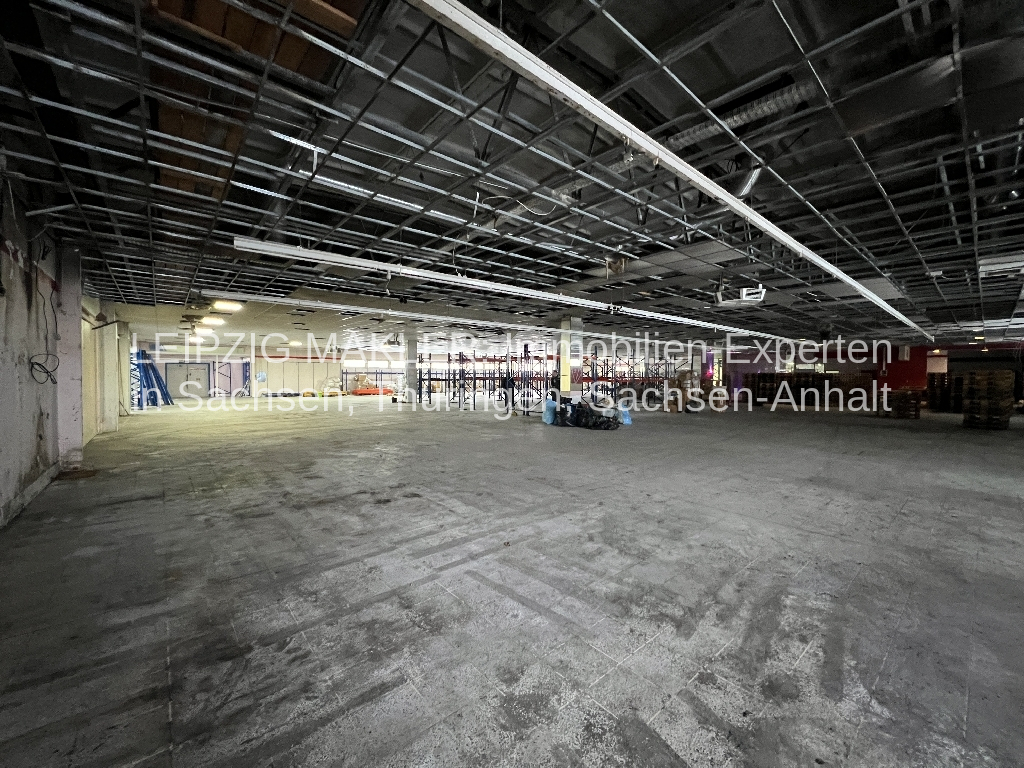 ZU VERMIETEN: Vielseitig nutzbare Einzelhandelsfläche ( 2.200 m²) in Delitzsch-Nord