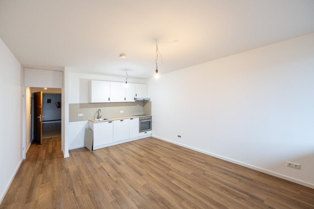 Saniertes Appartement mit Rheinblick