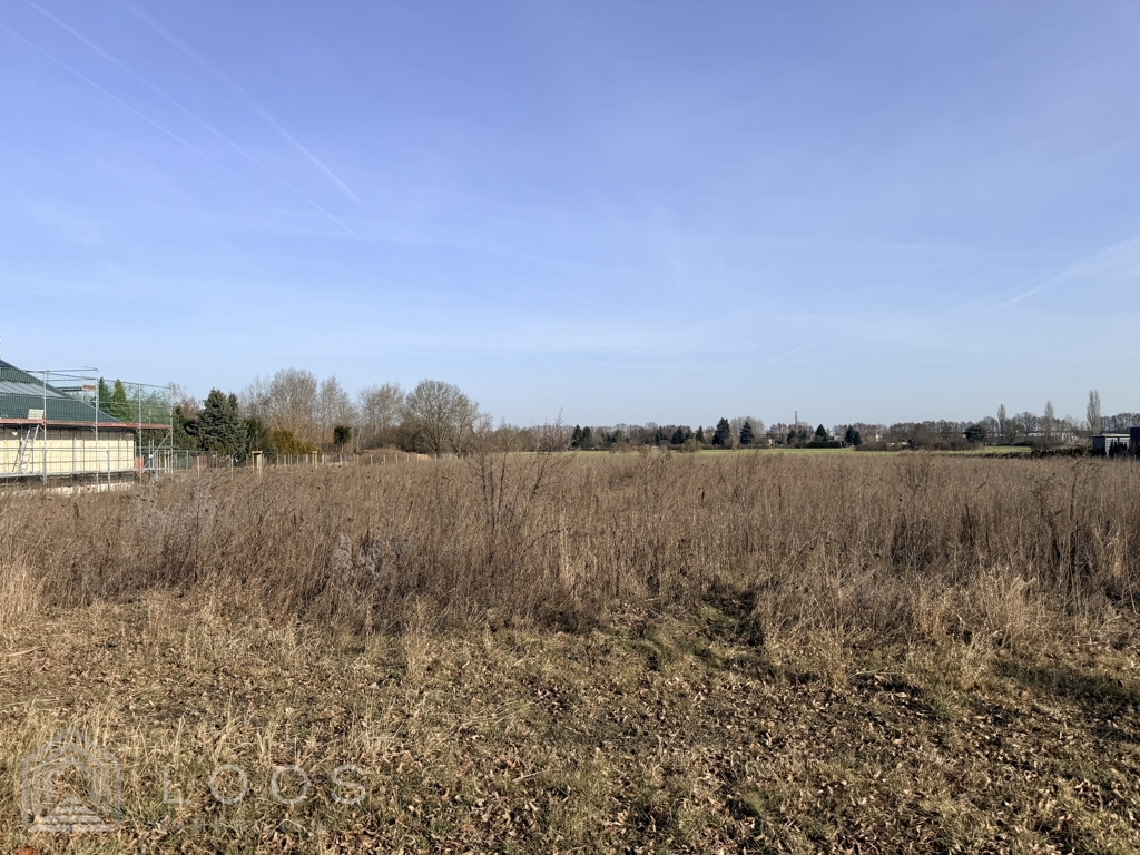 Provisionsfrei: 2.482 m² vollerschlossenes Baugrundstück in Finsterwalde