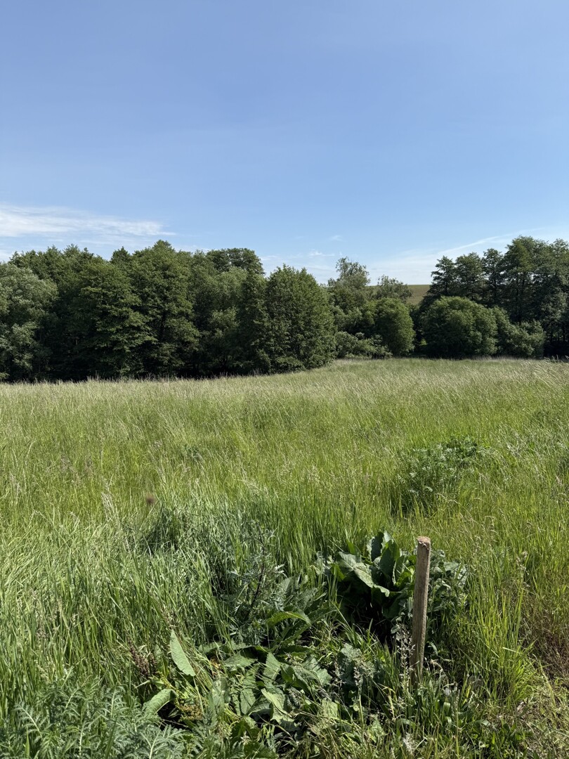 Feldrandlage mit Weitblick – 1.292 m² Baugrundstück in Gletzow bei Rehna