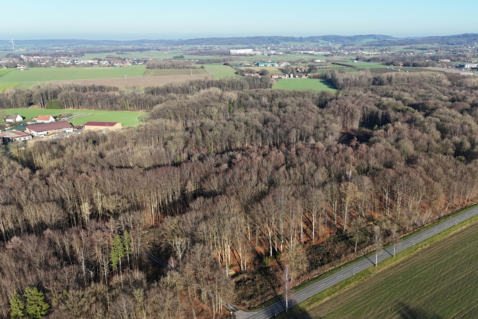 Zwei Waldflächen - ein Stück Natur in Wennigsen