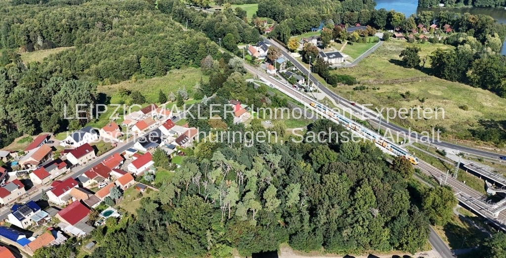 Ihr Traumhaus im Grünen: Großzügiges Grundstück mit hauseigenem Wald