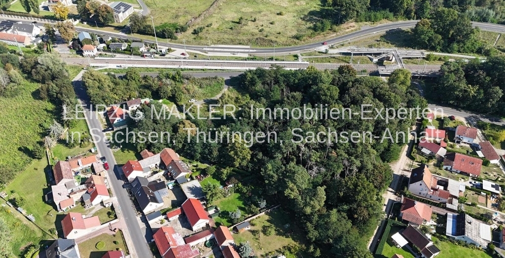 Großzügiges Grundstück mit hauseigenem Wald für Ihre Traumvilla
