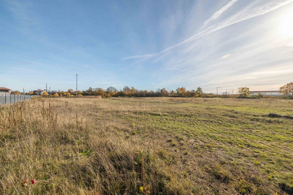 Investieren Sie jetzt in Ihren zukunftsträchtigen Standort: 13.500qm freie Gewerbefläche in Neustadt