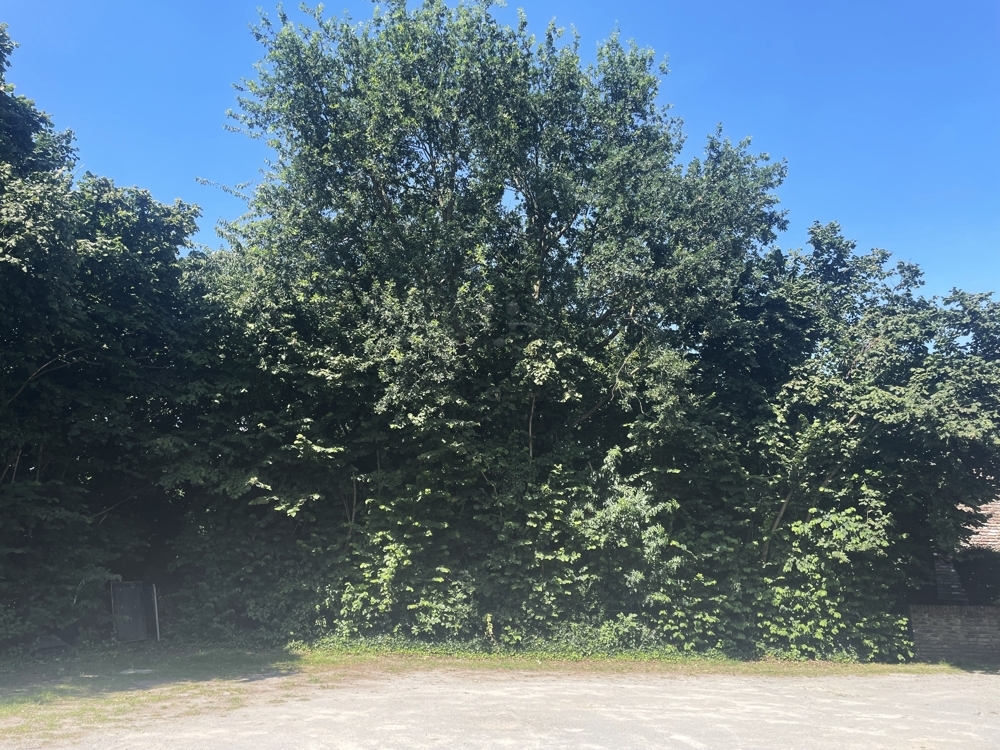 Baugrundstück in Voerde-Löhnen! Ihr Traum vom dörflichen Leben!