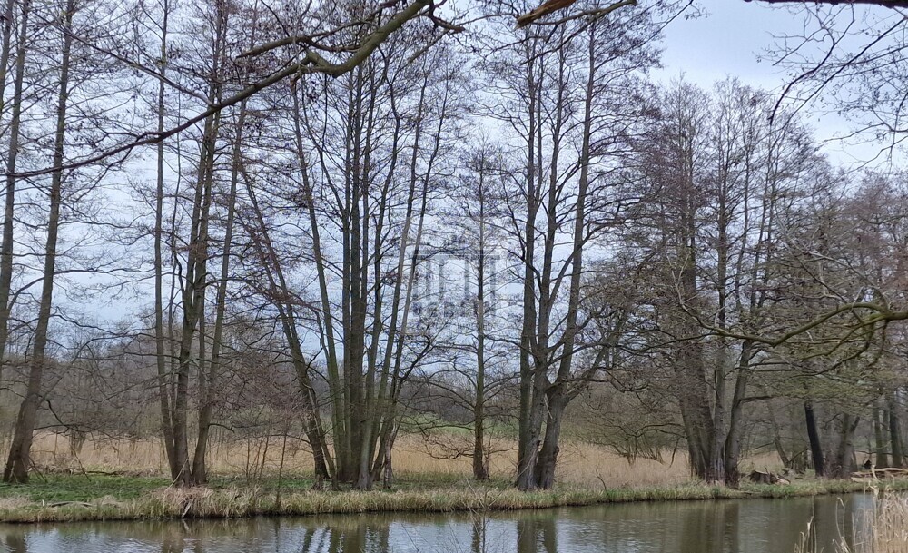 Wassergründstück im schönen Spreewald!