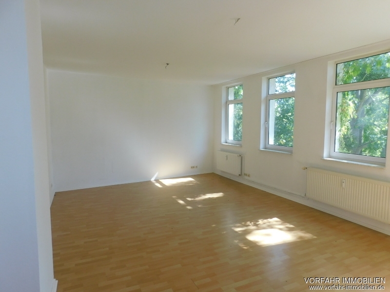 1-Zimmer-Wohnung in Schweriner Paulsstadt