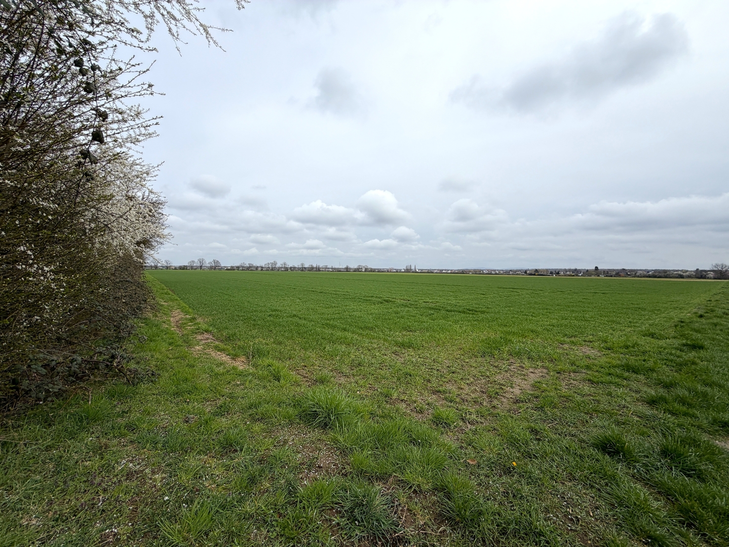 6.087 m² Landwirtschaftsfläche "Mittlere Gewann auf die Höhe" in Rodgau Hainhausen