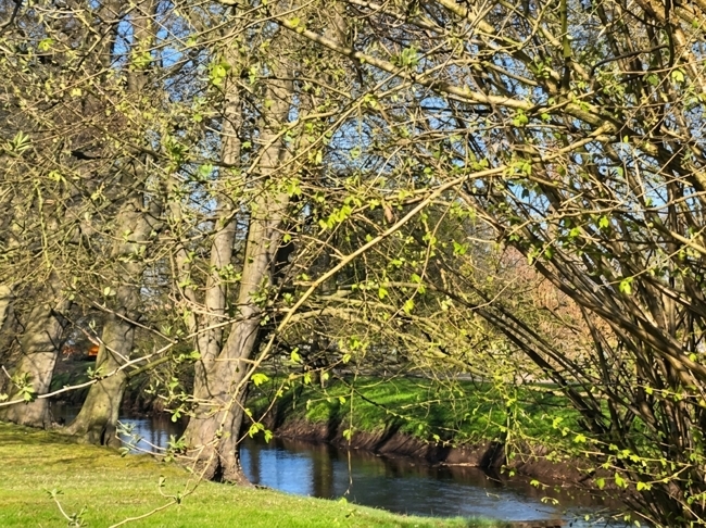 Zuhause statt einfach nur Immobilie – gepflegtes Reihenhaus mit idyllischem Garten an der Mühlenau