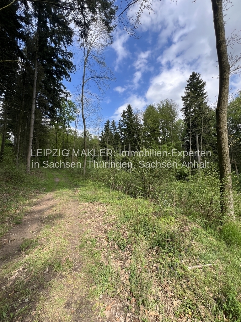 Waldfläche mit ca. 86.000 qm in Finne OT Billroda