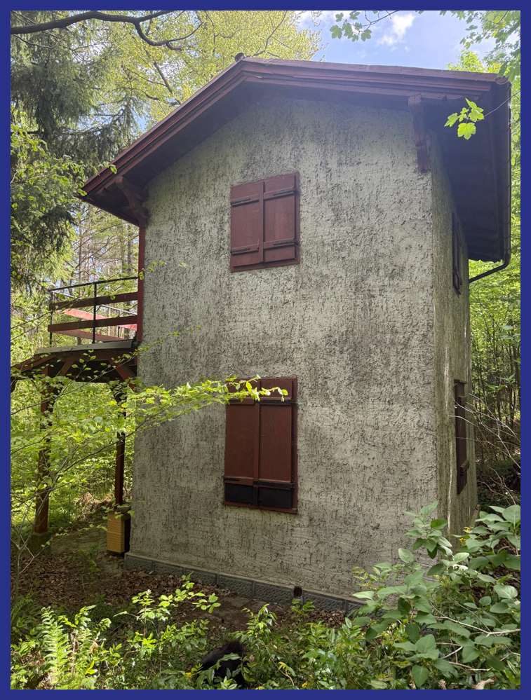 Verstecktes kleines Haus im Wald