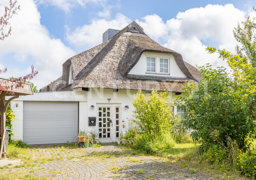Familienglück unter Reet