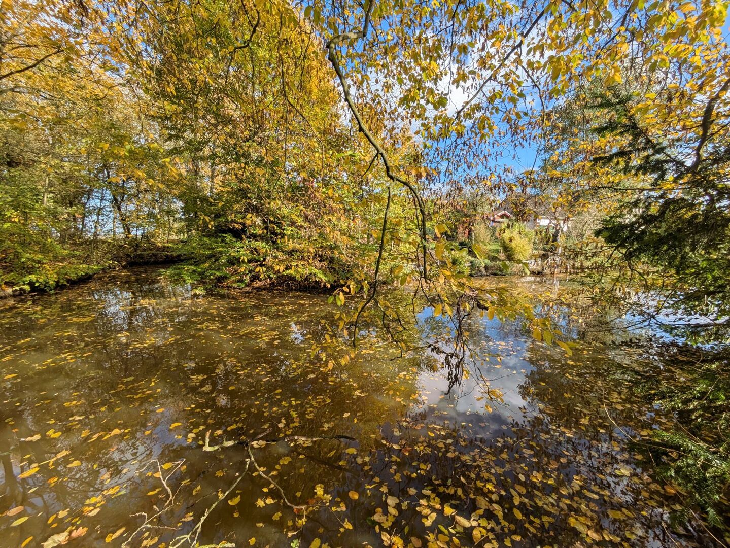 Träume erfüllen in der Wesermarsch – Leben am Wasser!