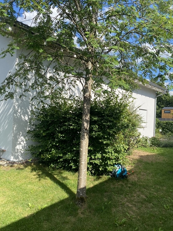 Freistehendes Ein-/ Zweifamilienhaus auf sonnigem Gartengrundstück mit viel Potenzial in Ottobrunn