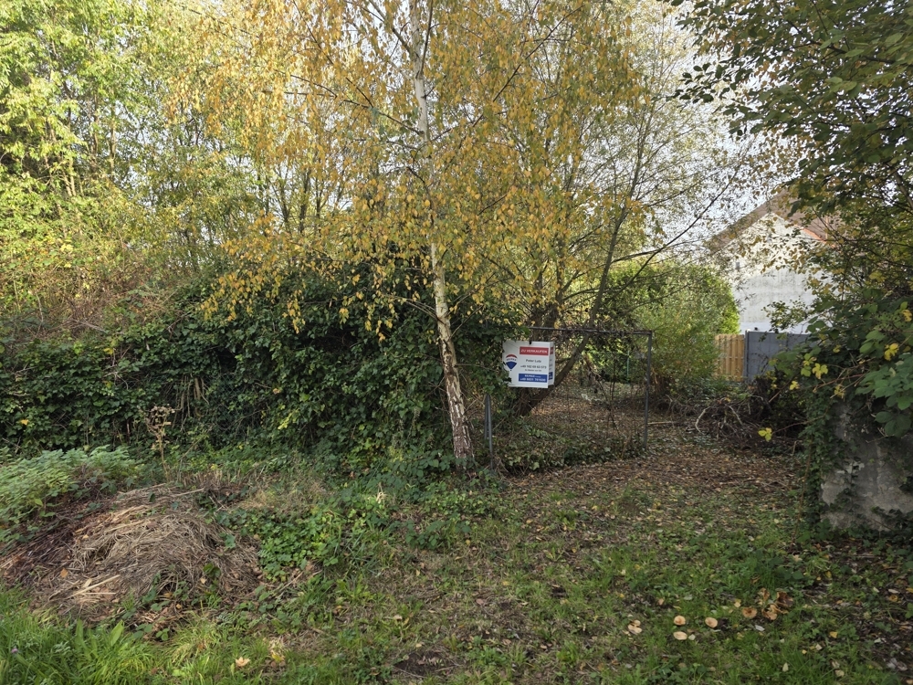 !!!!!!RESERVIERT!!!!!
Nalbach-Bilsdorf: Großes Baugrundstück mit Baugenehmigung für Einfamilienhaus