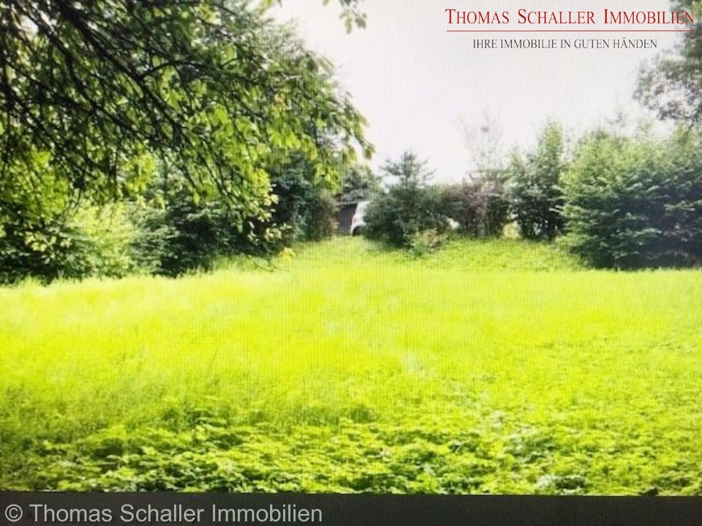 Seltene Gelegenheit: Großzügiges Baugrundstück in begehrter Lage von Burgthann