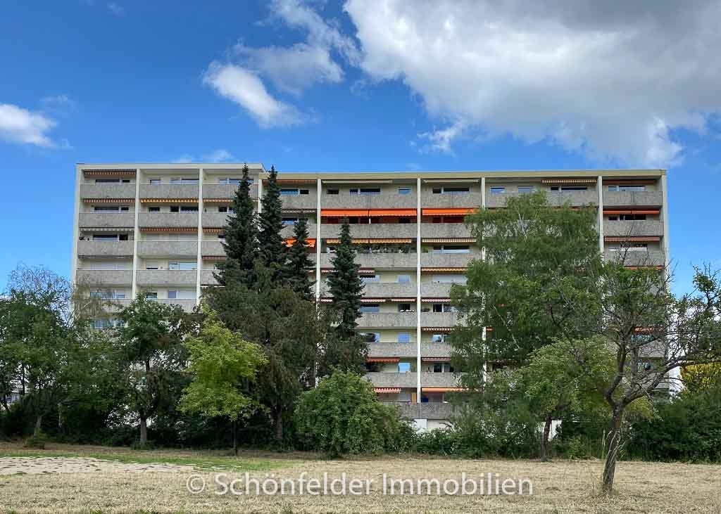 Helle Single-Wohnung mit traumhaft großer Balkon-Terrasse
