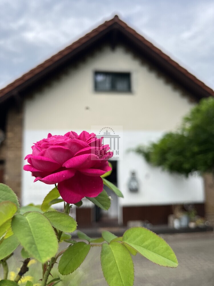 Charmantes Anwesen mit zusätzlichem Bungalow und vielseitigen Nutzungsmöglichkeiten