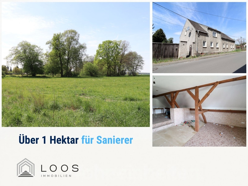 Sanierungsprojekt mit über 10.000 m² Grundstück in Naundorf