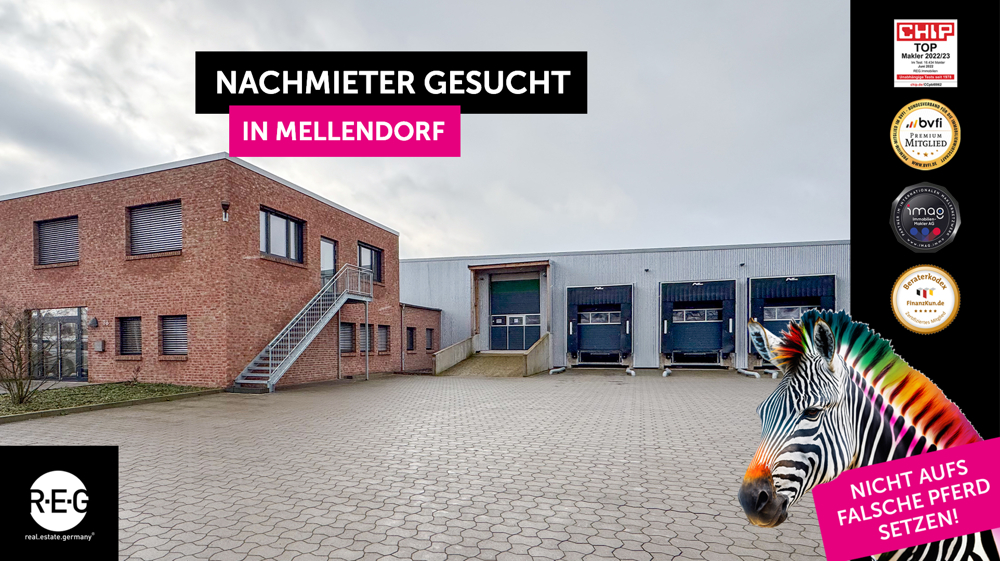 **Nachmieter gesucht** repräsentative Geschäftsräume ca. 800 m² und Lagerhallen ca. 2000 m², teilbar