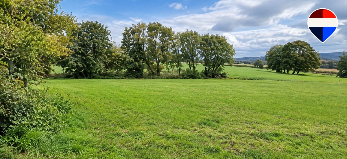 Baugrundstück für Naturliebhaber – großzügiges Grundstück mit viel Freiraum in Rödinghausen